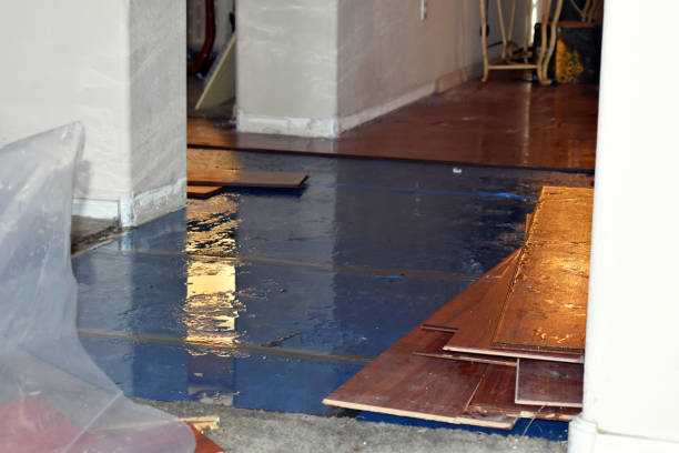 Professional Basement Flood Cleanup technician working in Newbern, TN